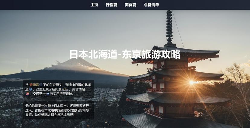 Travelling Strategy Web preview